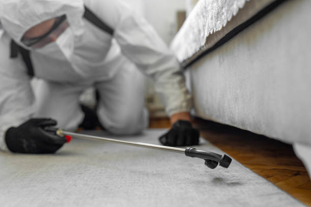 Professional Cockroach Control technician working in Mills River, NC